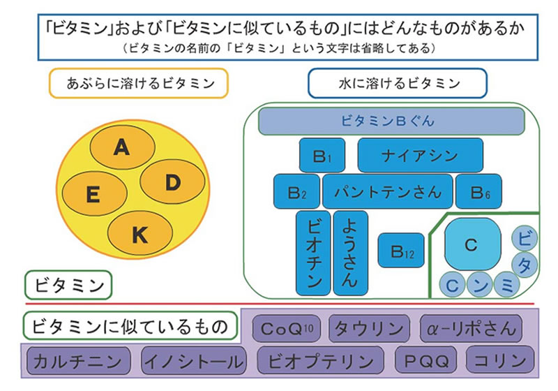 ビタミンおよびビタミンに似ているものにはどんなものがあるか