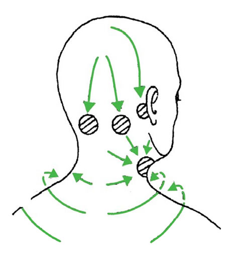 後頭部から首のリンパの排出方向