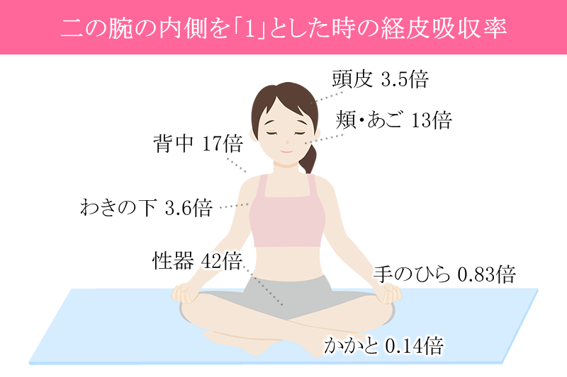 二の腕の内側を1とした時の経皮吸収率